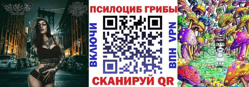 Галлюциногенные грибы Psilocybe  что такое   Хвалынск 